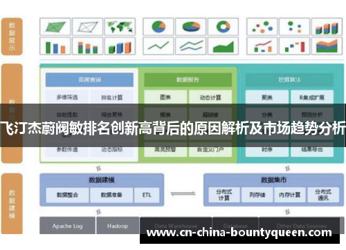 飞汀杰蔚阀敏排名创新高背后的原因解析及市场趋势分析