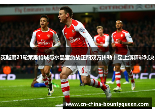 英超第21轮莱斯特城与水晶宫激战正酣双方拼劲十足上演精彩对决