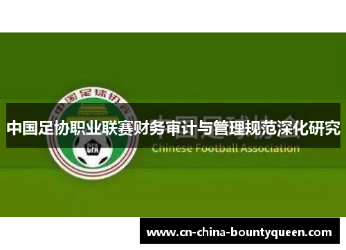 中国足协职业联赛财务审计与管理规范深化研究 中国足协职业联赛财务审计与管理规范深化研究